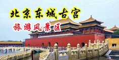 黄色电影大鸡鸡巴操穴中国北京-东城古宫旅游风景区